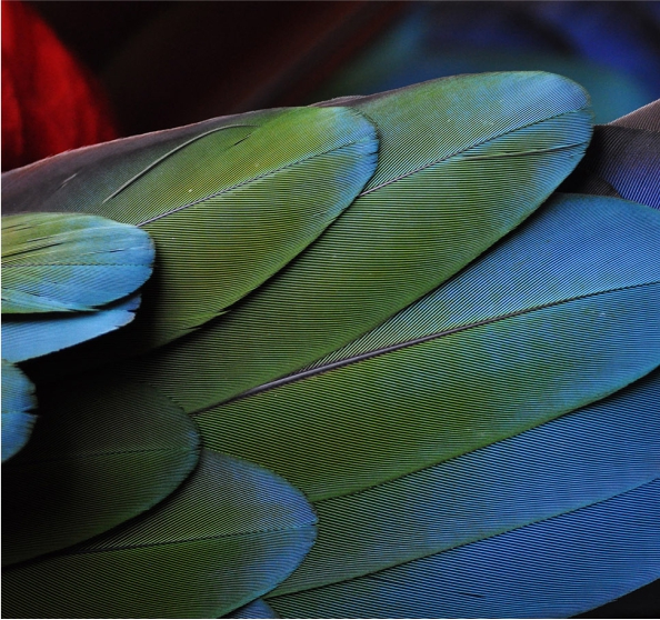 佳飾家(jiā)闆材