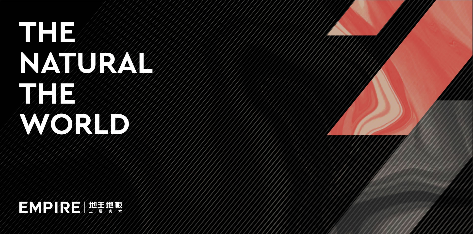 地(dì)王VI設計(jì) (1).jpg